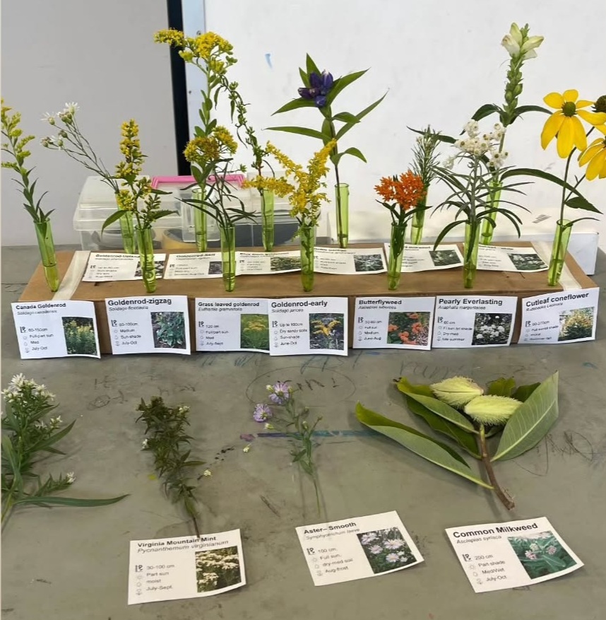 Broadland Community Centre seed workshop