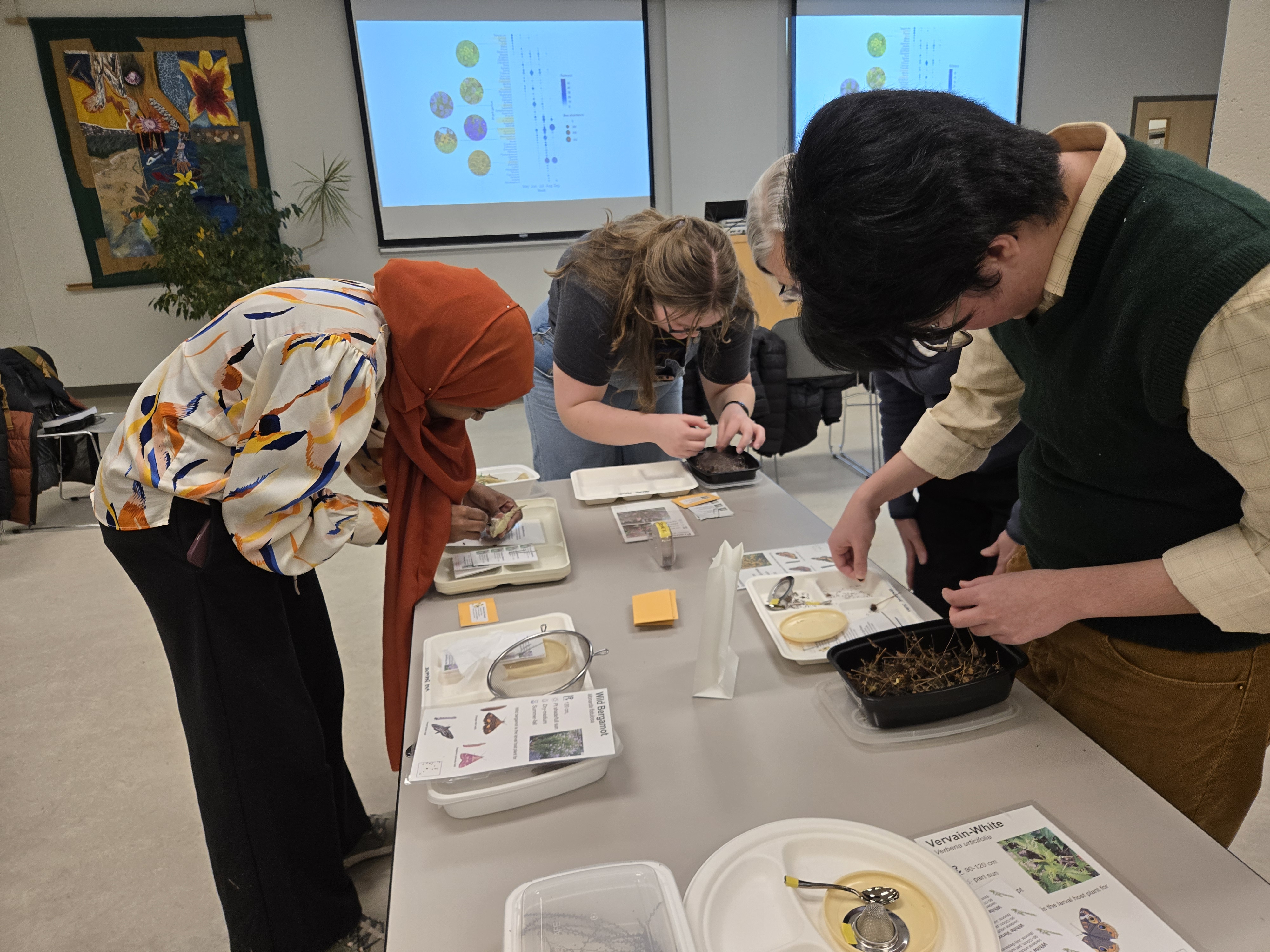 Project 2: 2026, York University’s Native Plant Gardens