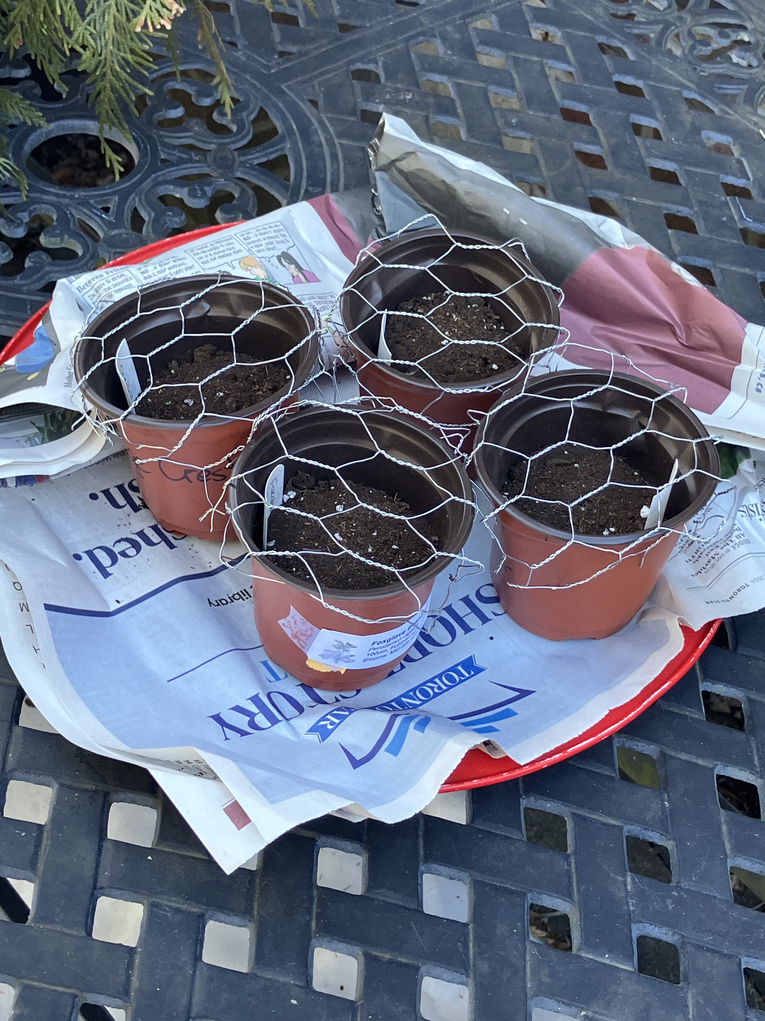 Diverse wintersowing styles!